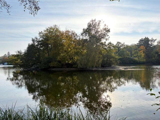 Exklusives Wohnen am Nauheimer Kurpark Erstbezug