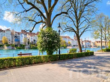 Paracelsusstrasse, Hirzbrunnen, Badischer Bahnhof