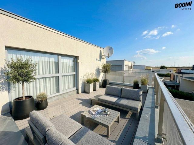 Exklusives Wohnen in Leopoldsdorf bei Wien * Garten mit Poolvorbereitung & 2 Terrassen & 4 Stellplätzen!
