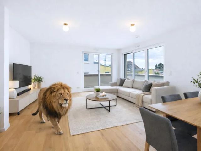 Exklusives Wohnen: Penthouse mit Dachterrasse