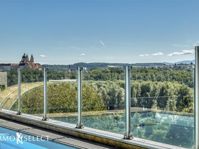 „Exklusives Zuhause mit Pool und traumhaftem Donaupanorama“