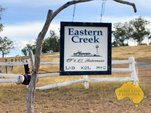 Expansive 12,600 Acre Freehold Grazing Property