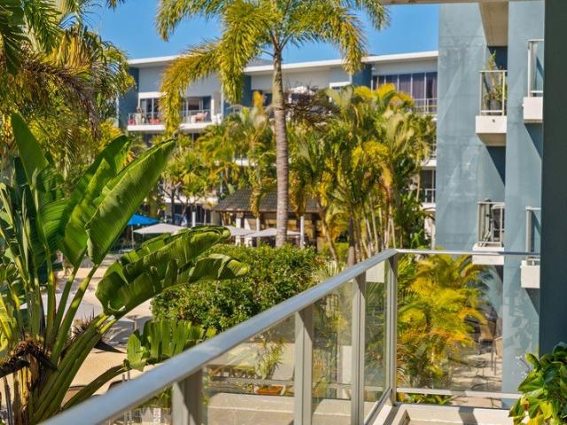 Expansive 180m² Corner Apartment Embrace the Hope Island Buggy Lifestyle