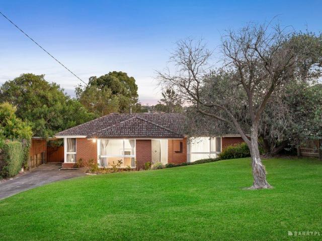 Expansive 1,159sqm GRZ1 Zoned Family Home
