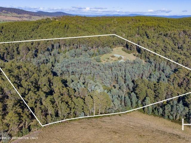 Expansive 20.23ha Bush Retreat with Sheds & Power