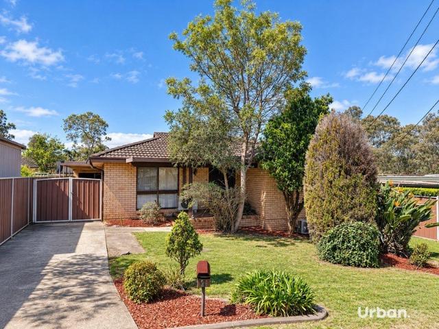 Expansive 596sqm block with approx 15.24m frontage offering Duplex Potential! S.T.C.A