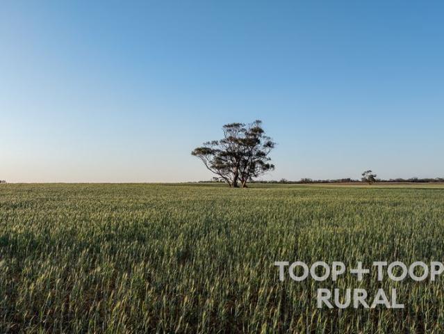 Expansive Cropping + Grazing Opportunity