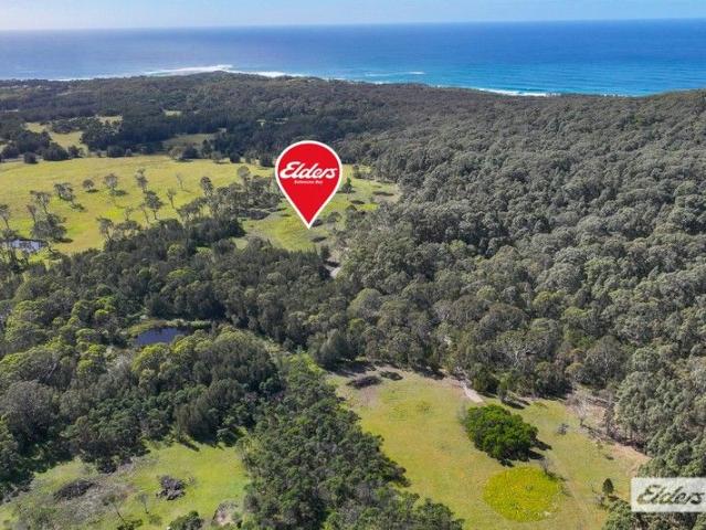 Expansive Acreage with Dual Dwelling Potential & Natural Beauty