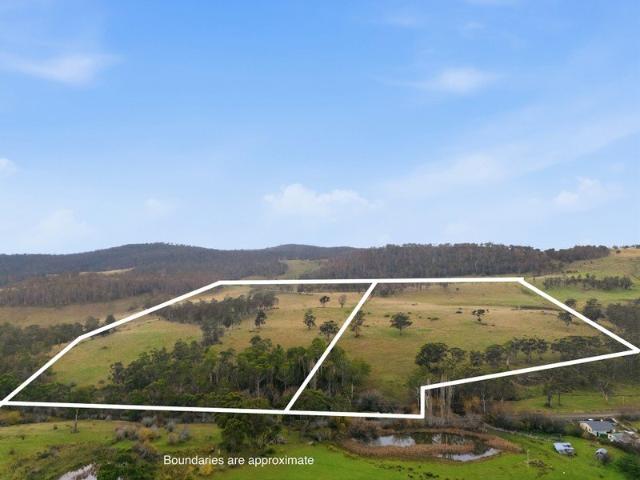 Expansive acreage with two titles
