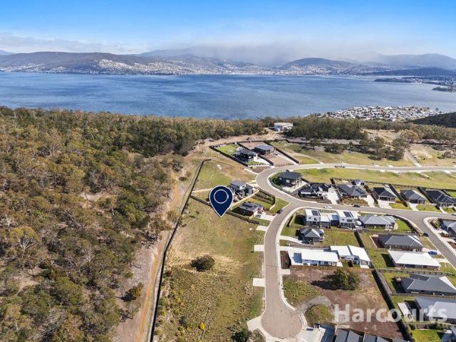 Expansive Allotment with Development Potential