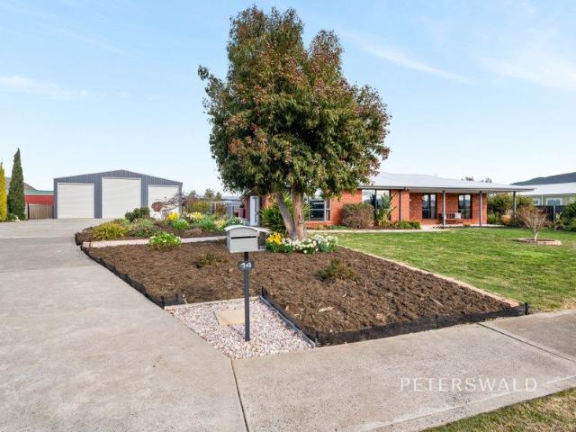 Expansive family living