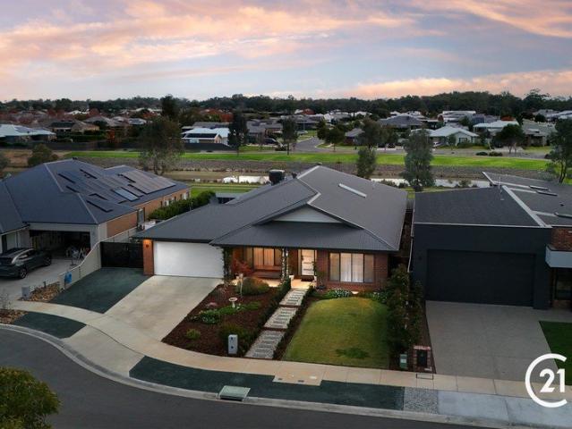 Expansive Family Living