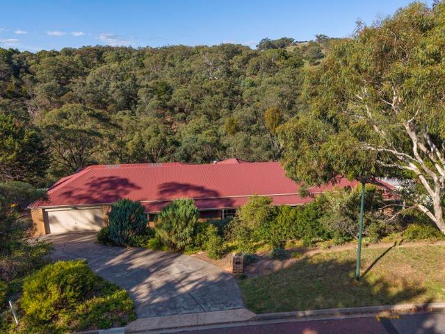 Expansive Family Living with Stunning Treetop Views on a Generous 1 Acre Allotment