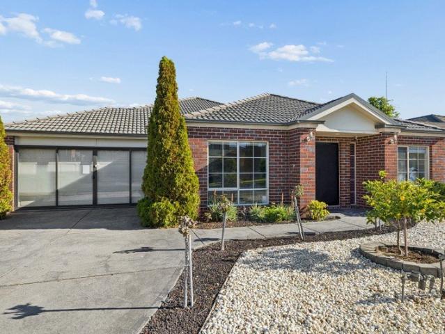 Expansive Family Living with Space for Everyone