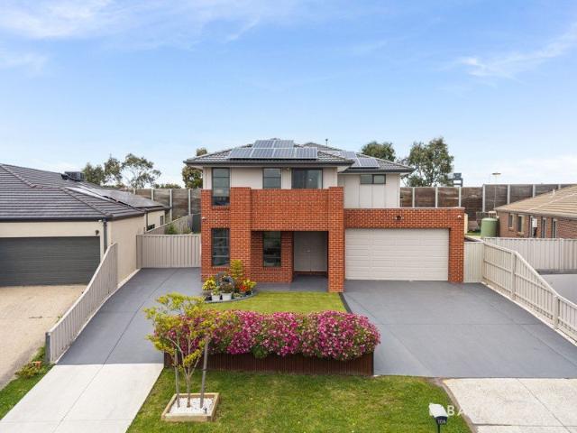 Expansive Family Living with Space for Everyone