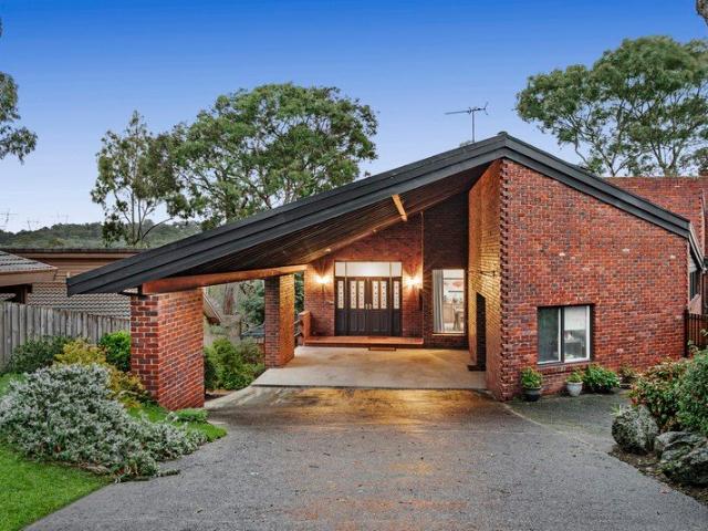 Expansive Family Living Among the Treetops