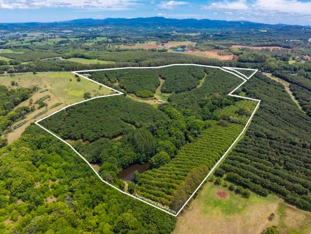 Expansive Hinterland Acreage Just Listed!