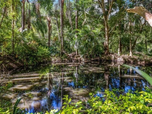 Expansive Hinterland Estate with Dual Living, Rainforest & Development Potential