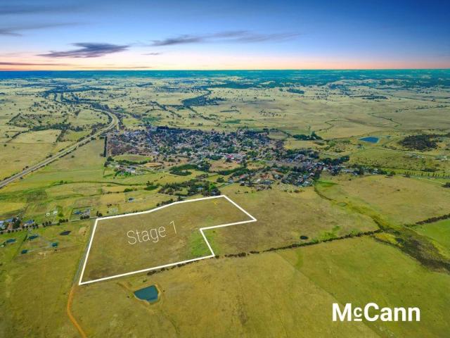 Expansive land, considered living