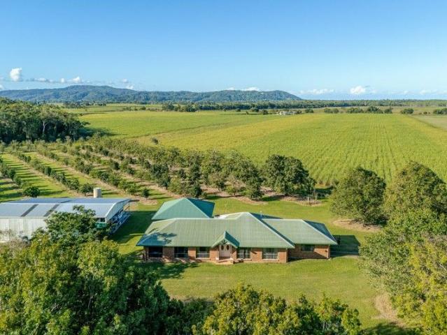 Expansive Lifestyle Acreage with Thriving Orchard and Family Residence
