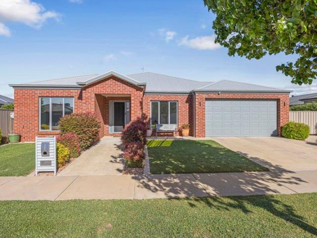 Expansive modern living