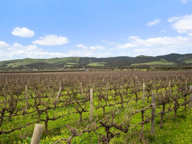 Expansive Rural Acreage with Outstanding Potential