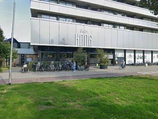 Expats: Apartment for rent in Delft, South Holland