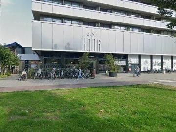 Expats: Apartment for rent in Delft, South Holland