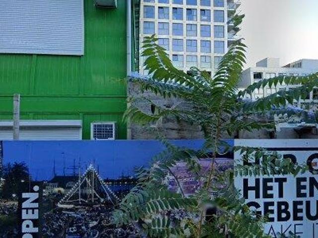 Expats: Apartment for rent in Rotterdam Centrum, Rotterdam
