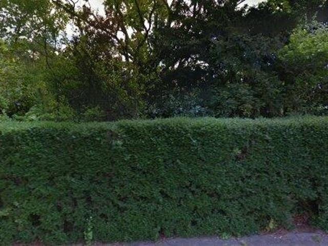 Expats: Apartment for rent in Wassenaar, South Holland