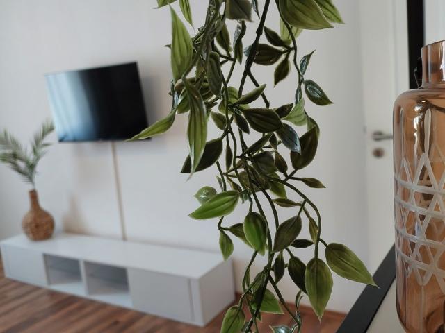 Expats Welcome SIEMENS Campus nearby Cosy All In Apartment with balcony, Erlangen Amsterdam Apartments for Rent