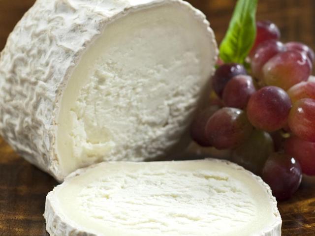 Exploitation caprine avec transformation fromagère, vente di