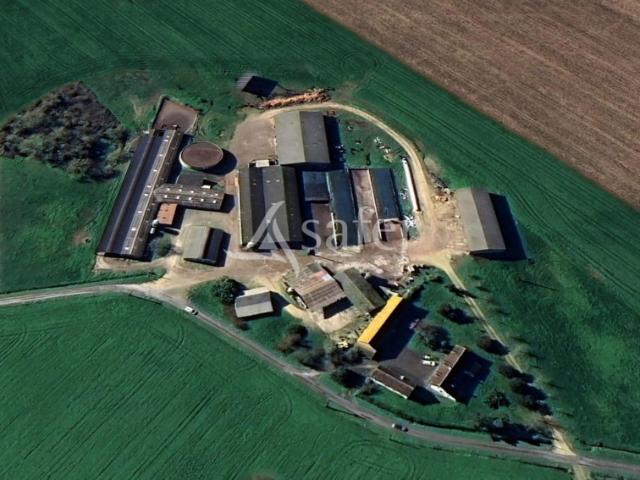 Exploitation laitière avec excellente génétique sur 142 ha de
