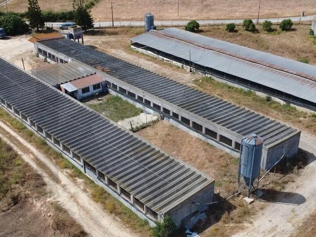 Exploração Agropecuária Licenciada com 1,88 ha – Palmela Vale de Cantadores