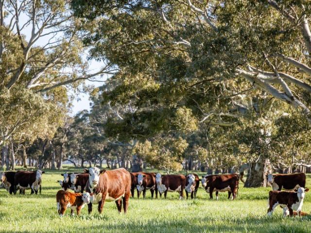 Expressions of Interest Close 3rd December 2026
