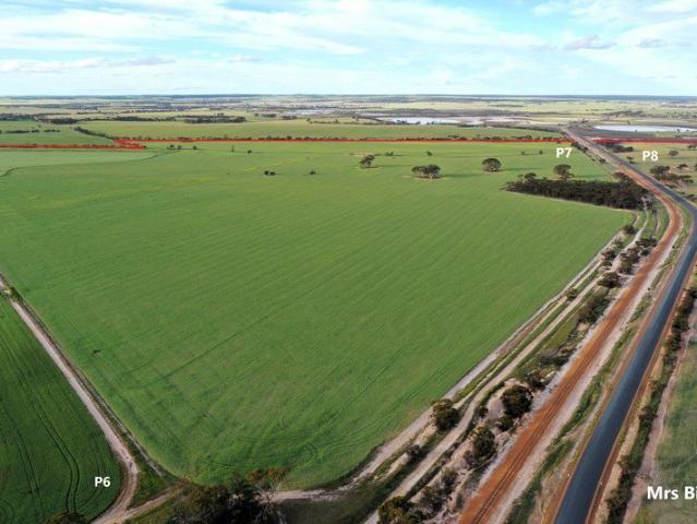 Expressions of Interest for Sharefarming Opportunity Lake Grace WA