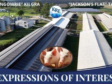 EXPRESSIONS OF INTEREST GLENGOWRIE & JACKSONS FLAT PIGGERY AND LIVESTOCK PROPERTIES
