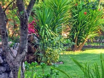 Casa en venta en Provincia de Urubamba - Barbacoa