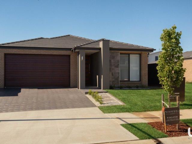 Exquisite 4 Bedroom Home | Elara Estate
