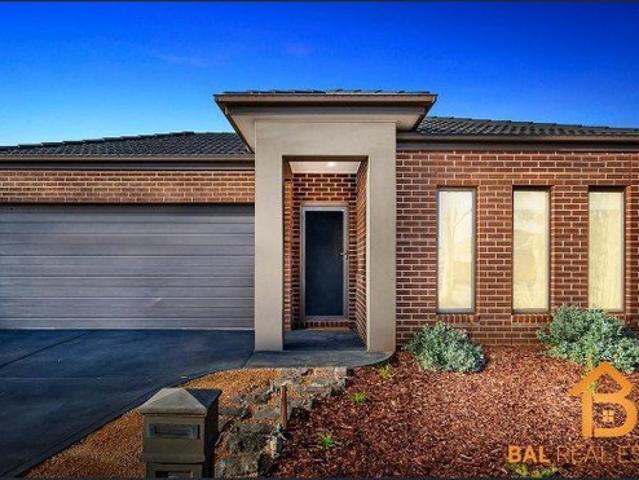 Exquisite Family Home in Harkness