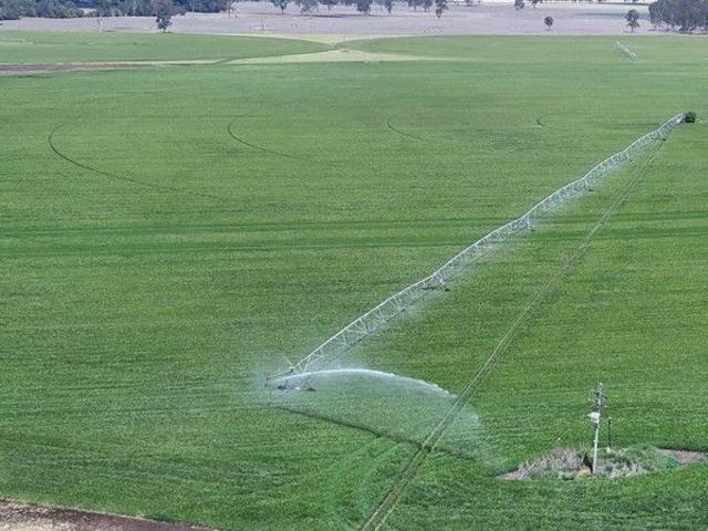 Extensive Cropping & Hay Irrigation Property