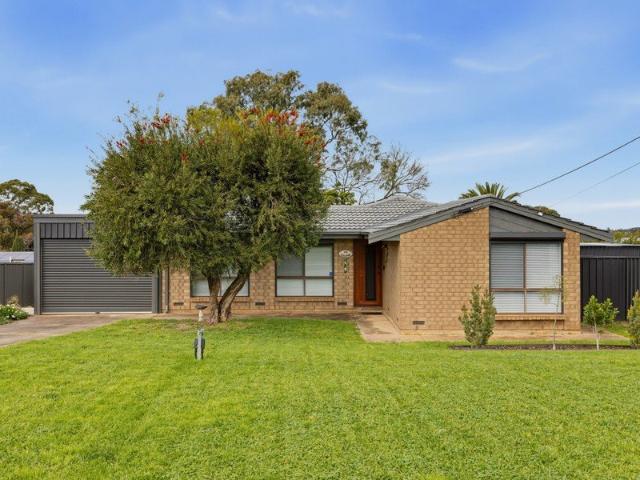 Extensively Renovated Family Home with Exceptional Shedding