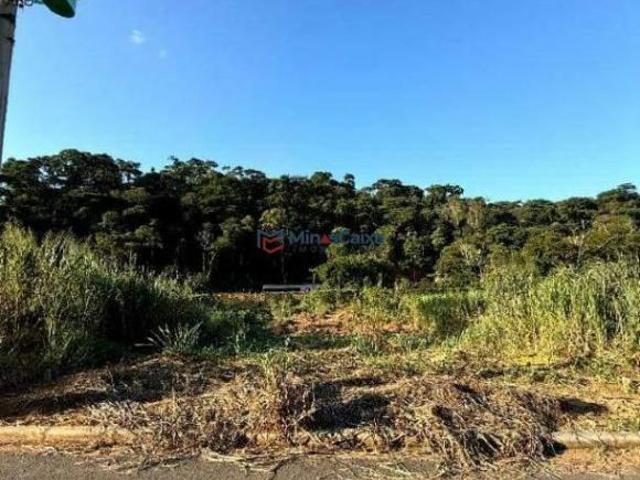 EXTENSO E ÓTIMO LOTE A VENDA LOCALIZADO NO NOVO HORIZONTE MG!