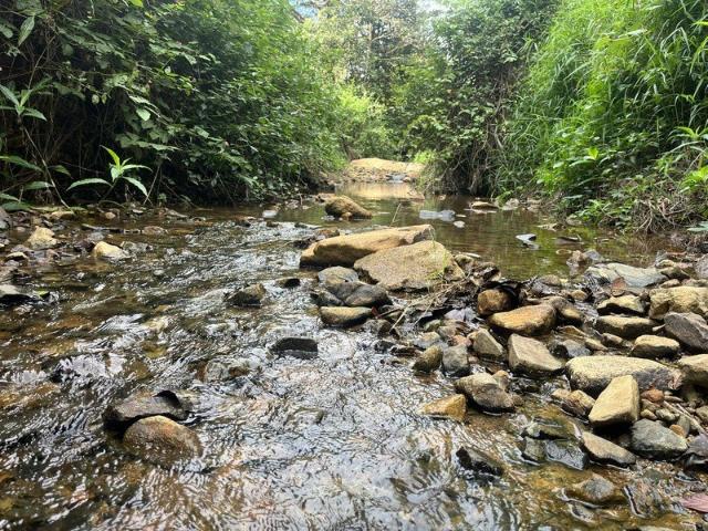 Extra large block with great potential in the heart of Eungella