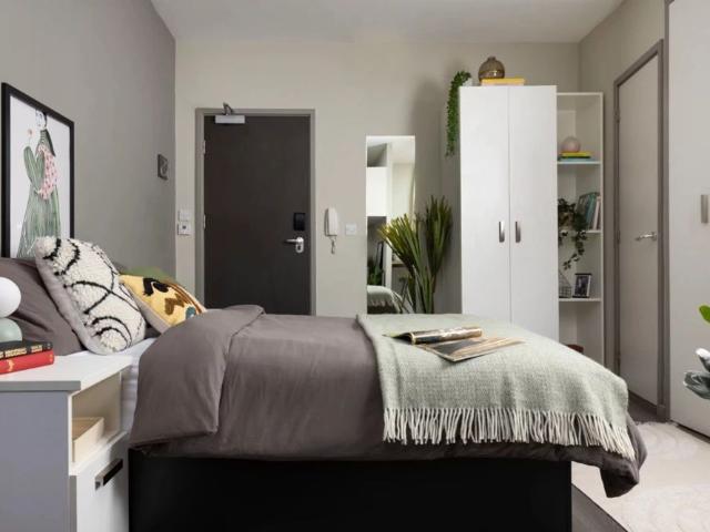 Extra Large Highest Double Studio