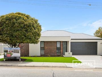 Extra Large Luxury Single Level Homes on Quiet Street