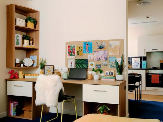 Extra Large Studio