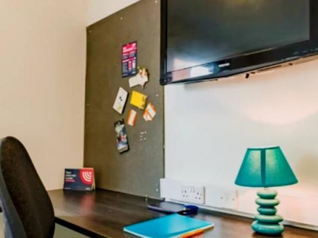 Extra Large Studio