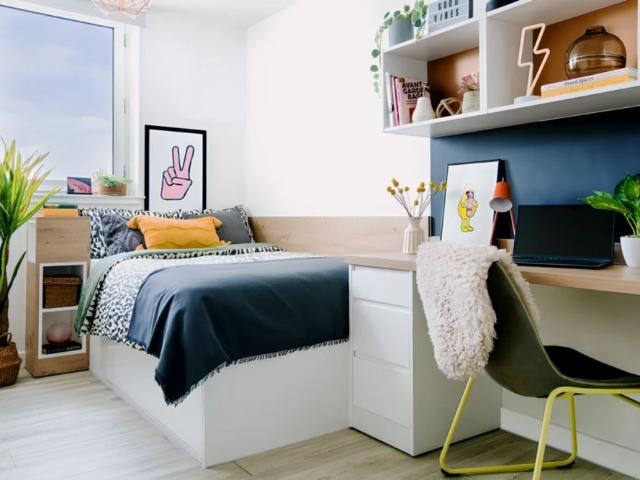 Extra Large Studio