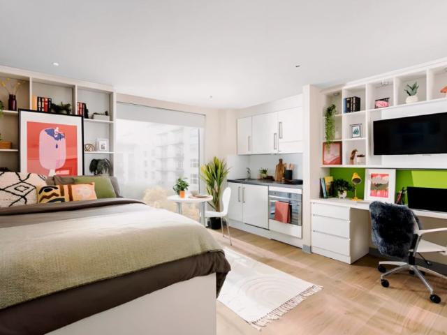 Extra Large Studio